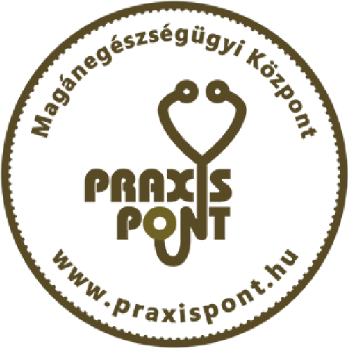 Praxispont